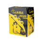 Aparat de Spalat cu Presiune PW1400 BuildXell