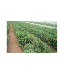 Plasa pentru plante 1,7x20m EvoTools