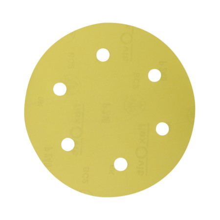 Disc abraziv EvoTools cu prindere arici si gauri, 210 mm, P80, 6 gauri
