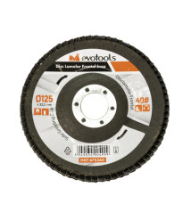 Disc lamelar frontal inox EvoTools 125 mm, P120