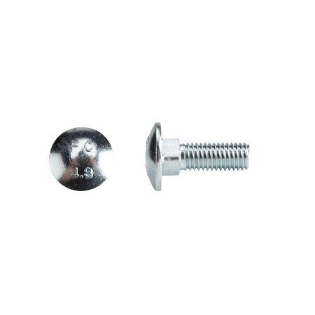 Surub torbant zincat DIN 603 Evotools, M6 x 18/100 mm, set 100 buc