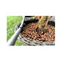 Picurator pentru tub picurare Evotools, 4 l/h, set 50 bucati