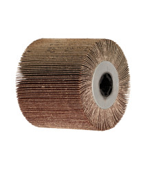 Perie abraziva EvoTools 115 mm, P60, prindere 20 mm