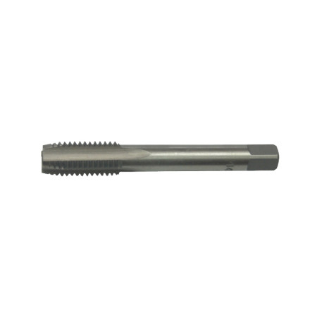 Tarod universal M20 x 2.5 mm, HSS, DIN 352, EvoTools